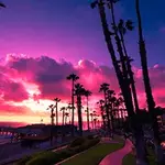 a7ochc-Yqq-Wg.webp a7ochc-Yqq-Wg.webp