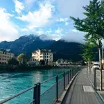 FGTVi (1).webp FGTVi (1).webp