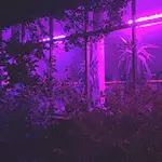 FGTVU.webp FGTVU.webp