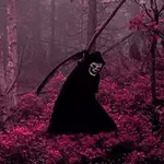 FKTav.webp FKTav.webp