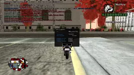 sa-mp-016.webp sa-mp-016.webp