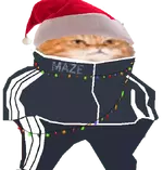 newyear_maze_cat (1).webp