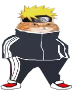 narutocat.webp