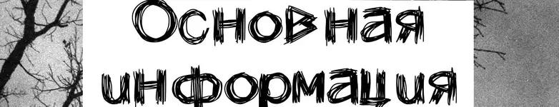 основ инфыор.webp