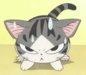 котик вк1.webp