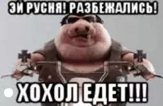 Screenshot_666.webp Screenshot_666.webp