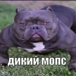 IMG-20260412-WA0018.webp