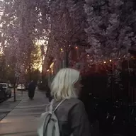 Тёма Комаровский