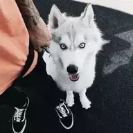 Grand Kings aka Haunted