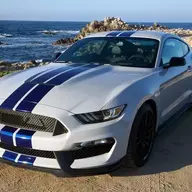 Ford_Shelby